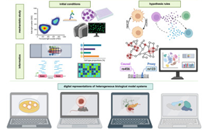 Cell：多年、多實(shí)驗(yàn)室合作，科學(xué)家們成功模擬癌細(xì)胞
