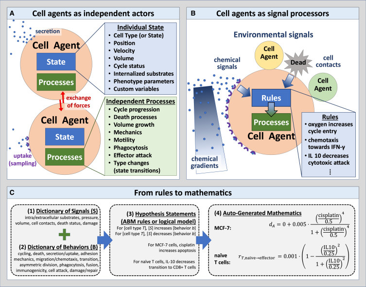人類可讀語(yǔ)法編碼實(shí)現(xiàn)多細(xì)胞系統(tǒng)生物學(xué)模型以普及虛擬細(xì)胞實(shí)驗(yàn)室 人類可讀語(yǔ)法編碼實(shí)現(xiàn)多細(xì)胞系統(tǒng)生物學(xué)模型以普及虛擬細(xì)胞實(shí)驗(yàn)室