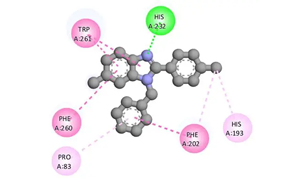 組蛋白去乙酰化酶6通過(guò)去乙?；c泛素化修飾ATG3調(diào)控自噬的新機(jī)制