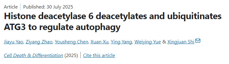 組蛋白去乙?；?通過去乙?；头核鼗揎桝TG3以調(diào)節(jié)自噬作用