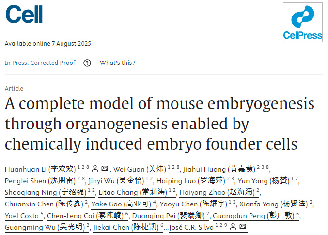 在化學誘導胚胎祖細胞支持下實現(xiàn)的小鼠胚胎發(fā)生至器官發(fā)生全過程模型 在化學誘導胚胎祖細胞支持下實現(xiàn)的小鼠胚胎發(fā)生至器官發(fā)生全過程模型