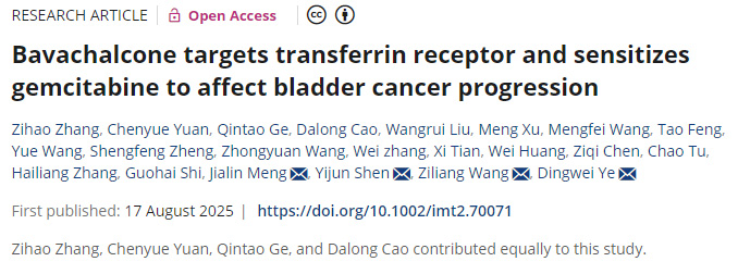 補骨脂查爾酮靶向轉(zhuǎn)鐵蛋白受體并增敏吉西他濱以調(diào)控膀胱癌進展 補骨脂查爾酮靶向轉(zhuǎn)鐵蛋白受體并增敏吉西他濱以調(diào)控膀胱癌進展