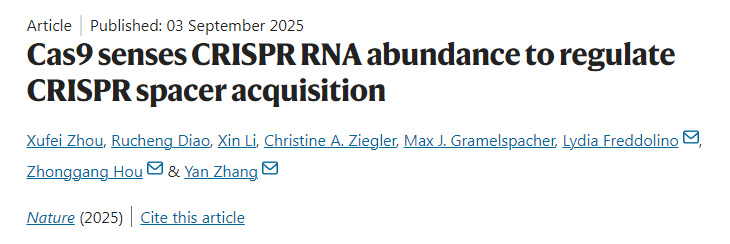 Cas9通過感知CRISPR RNA豐度來調(diào)控CRISPR間隔序列的獲取
