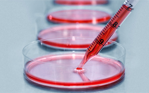 細(xì)胞培養(yǎng)基，撐起生物醫(yī)藥的半壁江山