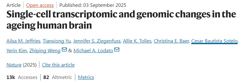 人類大腦衰老過程中的單細胞轉(zhuǎn)錄組與基因組變化 人類大腦衰老過程中的單細胞轉(zhuǎn)錄組與基因組變化