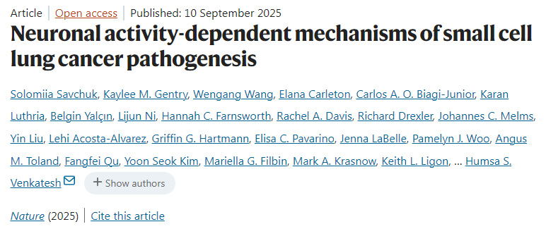 神經(jīng)元活動(dòng)依賴(lài)性的小細(xì)胞肺癌發(fā)病機(jī)制 神經(jīng)元活動(dòng)依賴(lài)性的小細(xì)胞肺癌發(fā)病機(jī)制