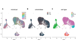 工程化細胞外囊泡（ILB-202）抑制NF-κB的安全性與抗炎作用：一項雙盲、隨機、安慰劑對照的I期臨床試驗