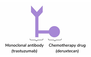 抗體藥物偶聯(lián)物Trastuzumab Deruxtecan在HER2低表達(dá)轉(zhuǎn)移性乳腺癌中的長期生存獲益：DESTINY-Breast04 III期試驗(yàn)最終分析