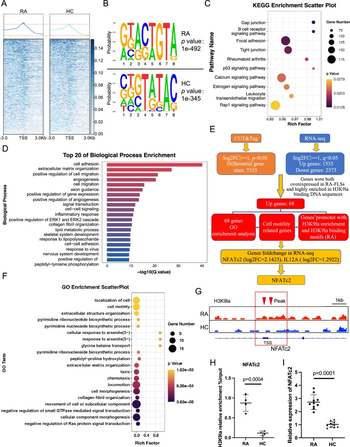 運(yùn)用CUT&Tag與RNA-seq技術(shù)篩選H3K9乳酸化修飾在類風(fēng)濕關(guān)節(jié)炎成纖維樣滑膜細(xì)胞中調(diào)控的靶基因