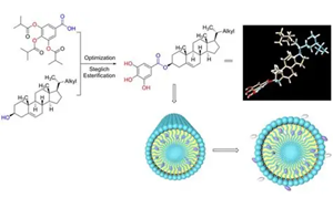 膳食氧化豆甾醇對(duì)小鼠膽固醇代謝的調(diào)控作用及其與豆甾醇的差異機(jī)制研究