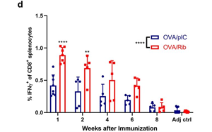 將免疫療法效果提升近3倍！這款進入1期臨床的抗癌疫苗，會是癌癥“終結者”嗎？