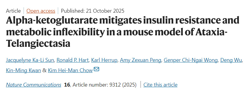 α-酮戊二酸緩解共濟(jì)失調(diào)-毛細(xì)血管擴(kuò)張癥小鼠模型的胰島素抵抗與代謝僵化 α-酮戊二酸緩解共濟(jì)失調(diào)-毛細(xì)血管擴(kuò)張癥小鼠模型的胰島素抵抗與代謝僵化