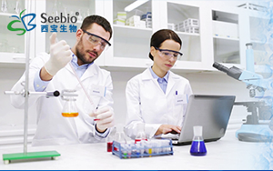 表面活性劑家族，種類齊全 常備現(xiàn)貨