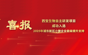 喜報 | 西寶生物“可拉酸”項目成功入圍2025年浦東新區(qū)小微企業(yè)提升能級項目，喜獲專項支持