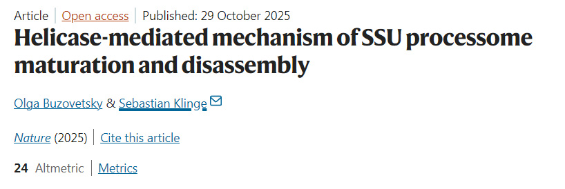 解旋酶介導(dǎo)的小亞基加工體成熟與解聚機(jī)制 解旋酶介導(dǎo)的小亞基加工體成熟與解聚機(jī)制