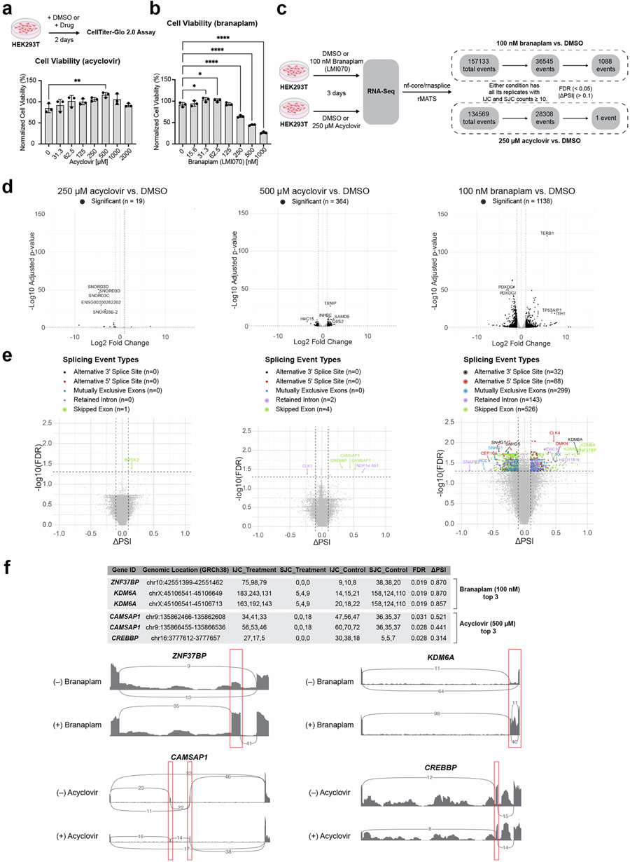 阿昔洛韋處理對細胞活力、基因表達及選擇性剪接的影響