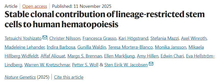 譜系限制性干細胞對人類造血的穩(wěn)定克隆貢獻 譜系限制性干細胞對人類造血的穩(wěn)定克隆貢獻