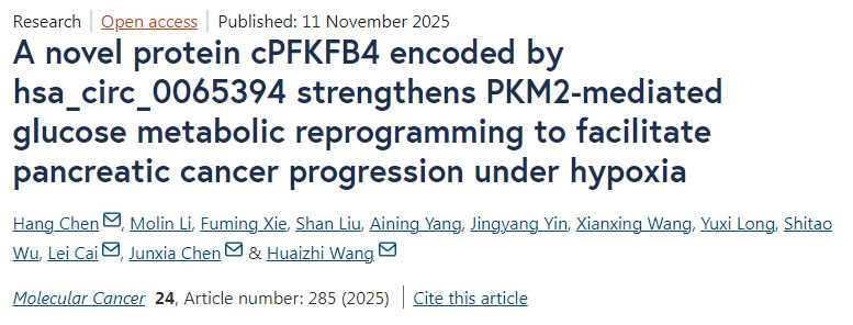 由hsa_circ_0065394編碼的新型蛋白cPFKFB4通過增強(qiáng)PKM2介導(dǎo)的葡萄糖代謝重編程，促進(jìn)胰腺癌在缺氧條件下的進(jìn)展