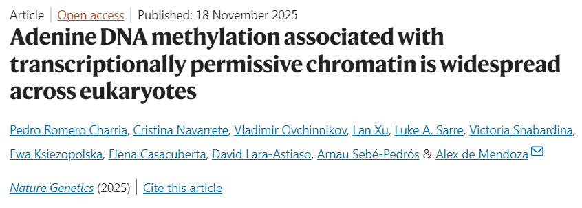 肥胖重塑脂肪組織中CD8+ T細胞的鐵代謝以加劇代謝性炎癥