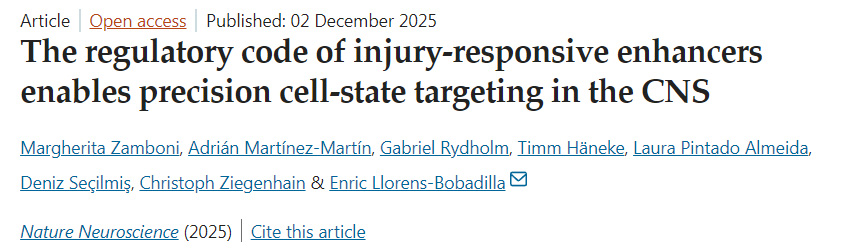 損傷響應(yīng)增強子的調(diào)控規(guī)則使中樞神經(jīng)系統(tǒng)中的精準(zhǔn)細胞狀態(tài)靶向成為可能 損傷響應(yīng)增強子的調(diào)控規(guī)則使中樞神經(jīng)系統(tǒng)中的精準(zhǔn)細胞狀態(tài)靶向成為可能