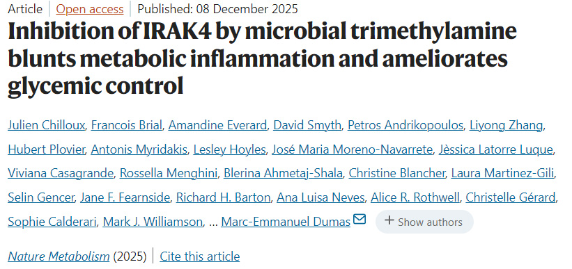 微生物三甲胺抑制IRAK4可削弱代謝性炎癥并改善血糖控制 微生物三甲胺抑制IRAK4可削弱代謝性炎癥并改善血糖控制