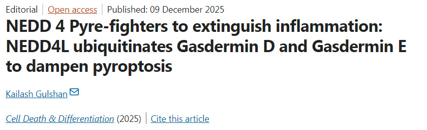 NEDD4作為焦亡斗士平息炎癥：NEDD4L通過(guò)泛素化Gasdermin D與Gasdermin E抑制細(xì)胞焦亡