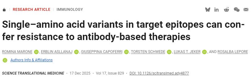 靶向表位中的單個氨基酸變異可導(dǎo)致抗體療法產(chǎn)生耐藥性 靶向表位中的單個氨基酸變異可導(dǎo)致抗體療法產(chǎn)生耐藥性