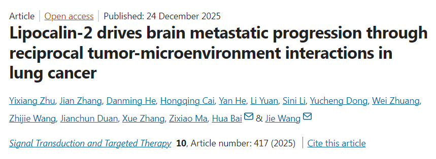 脂質(zhì)運(yùn)載蛋白-2通過(guò)肺癌中腫瘤與微環(huán)境的相互作用驅(qū)動(dòng)腦轉(zhuǎn)移進(jìn)展