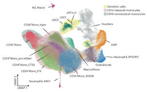 Nature Cancer：單細胞分析揭示多發(fā)性骨髓瘤的免疫景觀
