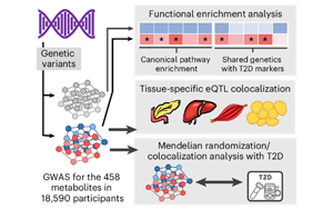 循環(huán)代謝物、遺傳與生活方式因素在2型糖尿病未來風(fēng)險中的綜合作用研究