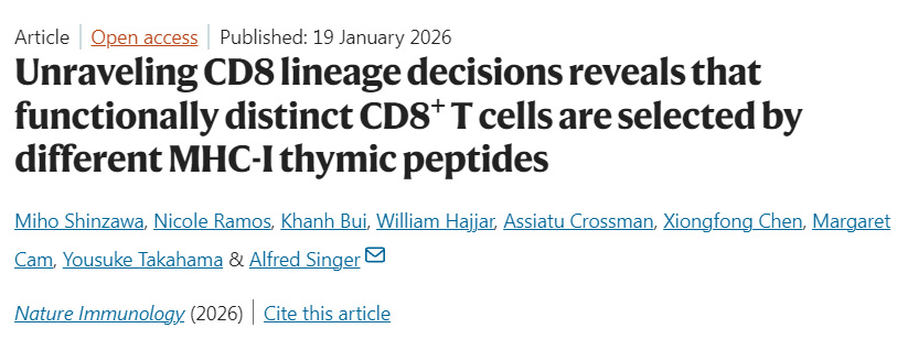 解析CD8譜系命運決定：揭示功能各異的CD8+ T細(xì)胞由不同MHC-I胸腺肽選擇形成