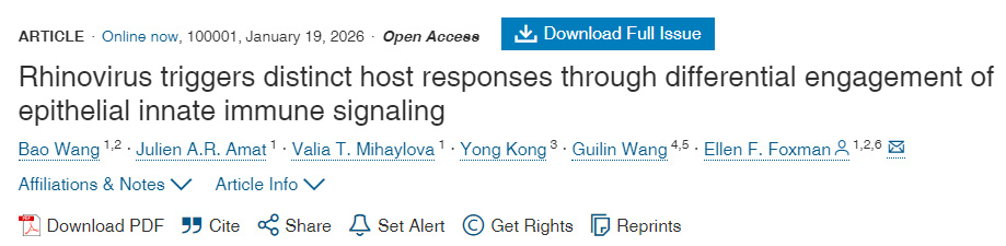 鼻病毒通過差異性利用上皮細(xì)胞先天免疫信號傳導(dǎo)機(jī)制觸發(fā)不同的宿主反應(yīng)