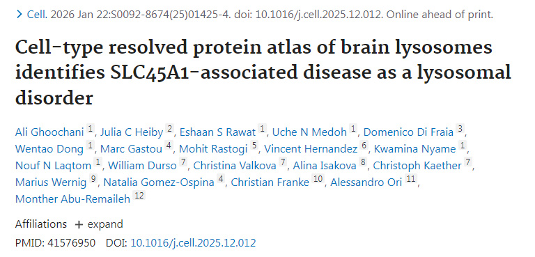 細(xì)胞類型解析的腦溶酶體蛋白質(zhì)圖譜揭示SLC45A1相關(guān)疾病為溶酶體功能異常