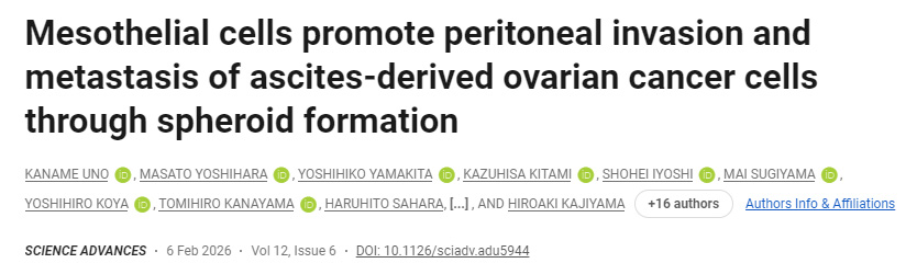 間皮細(xì)胞通過促進(jìn)球體形成，增強(qiáng)腹水來源的卵巢癌細(xì)胞的腹膜侵襲和轉(zhuǎn)移能力
