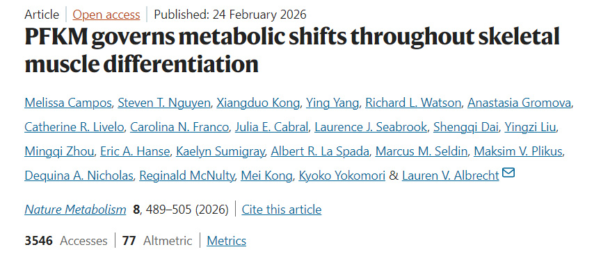 PFKM 調(diào)控整個(gè)骨骼肌分化過程中的代謝轉(zhuǎn)變