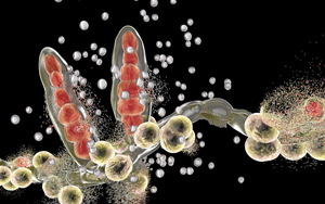 【診斷試劑原料】傳染病類抗原抗體