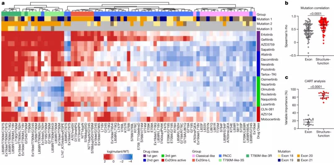 Nature重磅：這種致死率高的惡性腫瘤，或?qū)⒂瓉砭珳?zhǔn)治療時(shí)代