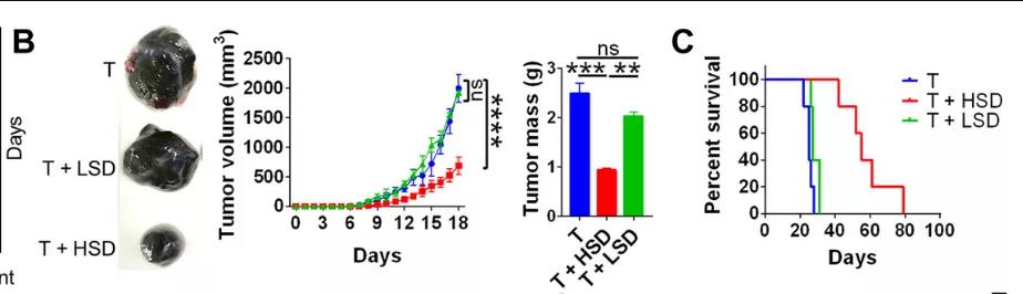 鹽要漲價(jià)了！Science子刊揭示：高鹽飲食或可誘導(dǎo)有效的腫瘤免疫！