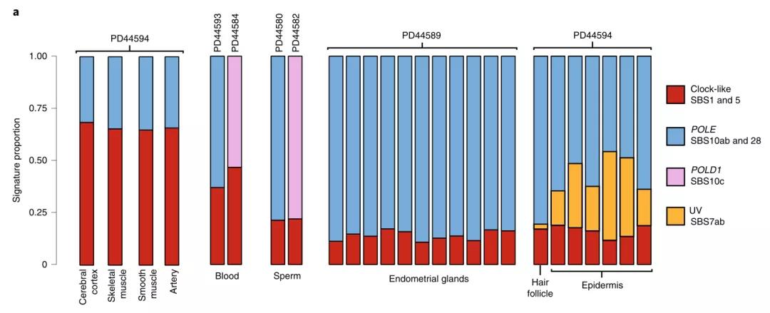 人為什么會(huì)得癌癥？《自然》子刊對(duì)體細(xì)胞、胚胎、精子測(cè)序發(fā)現(xiàn)重要基因！