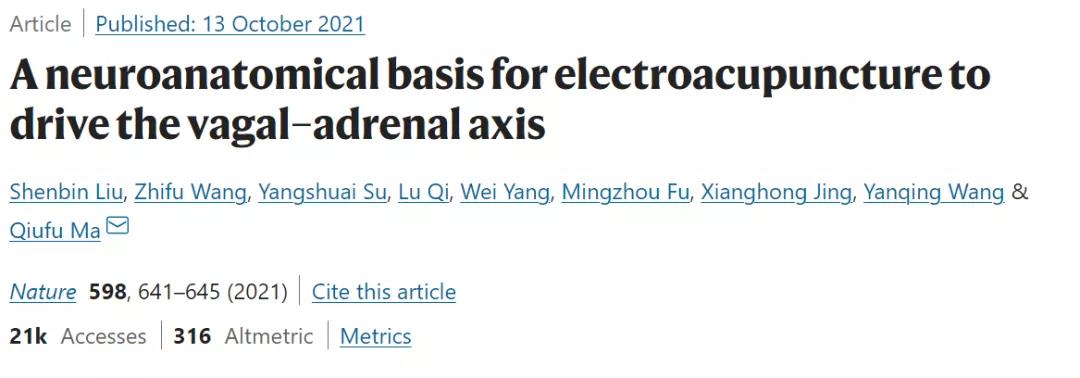 Nature：針灸不再是“玄學(xué)”！中美科學(xué)家證明針灸的神經(jīng)解剖學(xué)原理