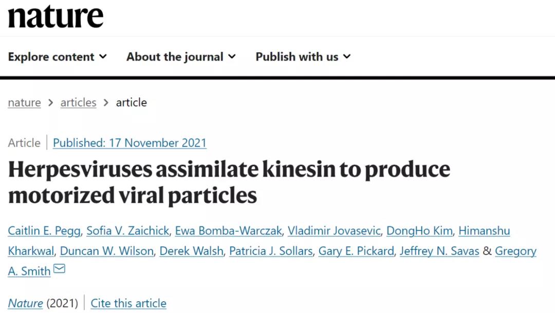 《Nature》：皰疹病毒看似“低調(diào)的青銅” ，實(shí)則“神秘的強(qiáng)者”