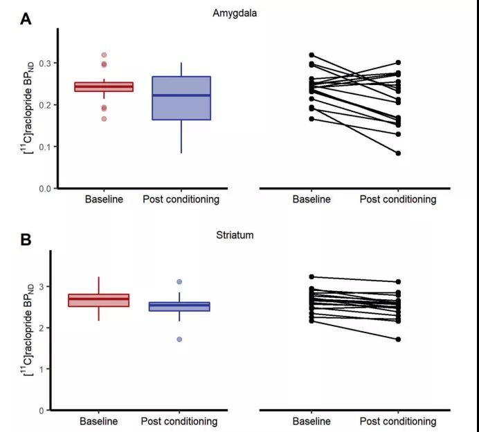 一朝被蛇咬，十年怕井繩，找到了科學(xué)依據(jù)！最新研究揭示“恐怖分子”多巴胺如何參與人類恐懼記憶形成