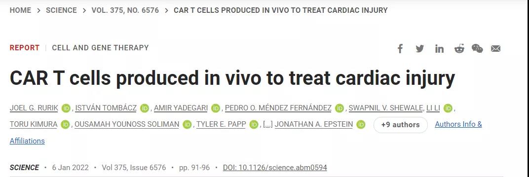 CAR-T技術(shù)再升級(jí)！無(wú)需體外編程T細(xì)胞，一針注射修復(fù)受損心臟，省錢又省心！