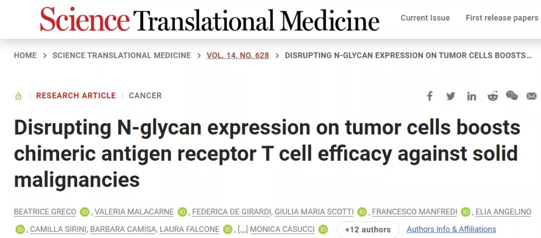 摘去腫瘤細(xì)胞的“糖衣”，CAR-T即成為“炮彈”！