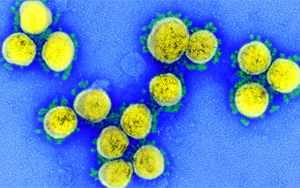 漏檢風險將增加！奧密克戎新分支更隱匿