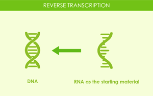 Seebio(R) Reverse Transcriptase逆轉錄酶