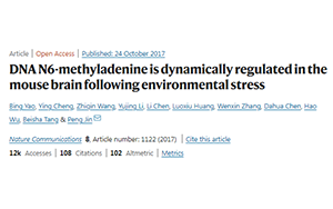別再emo了，情緒真的能夠改變基因！