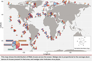 新冠病毒或只是“冰山一角”,科學(xué)家新發(fā)現(xiàn)5500種RNA病毒