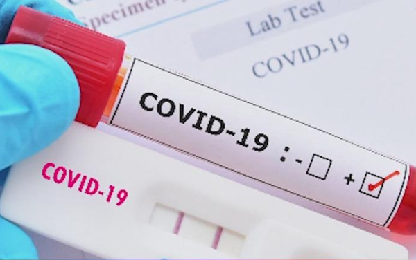 如何避免“假陽性”？西寶生物重磅推出核酸污染假陽性治理方案