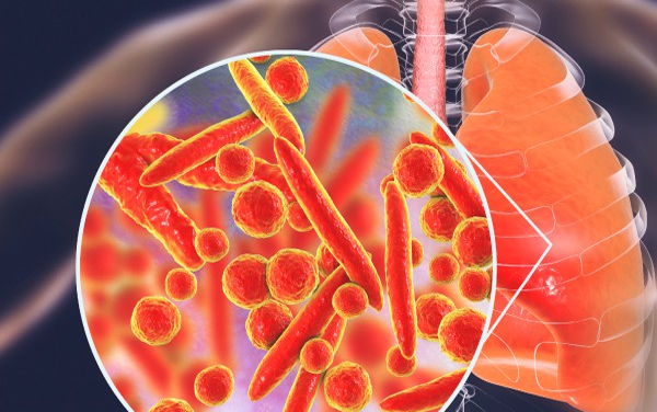 Seebio?生產(chǎn)專(zhuān)用生物污染去除試劑--專(zhuān)為IVD、疫苗工業(yè)設(shè)計(jì)
